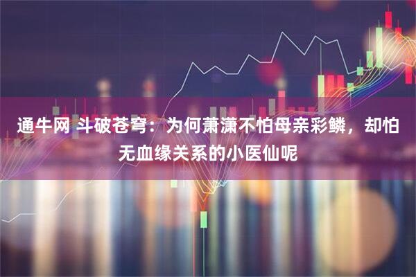 通牛网 斗破苍穹：为何萧潇不怕母亲彩鳞，却怕无血缘关系的小医仙呢