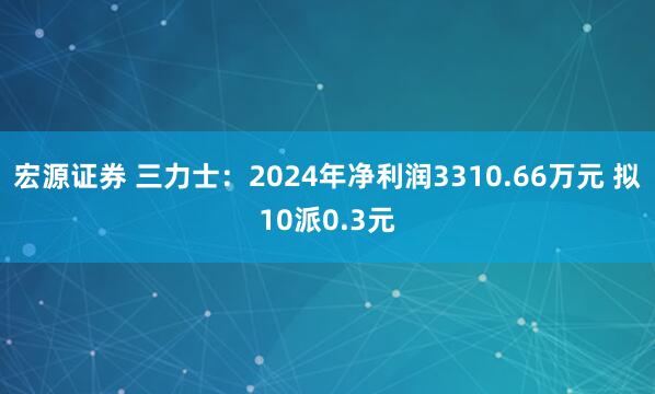 宏源证券 三力士：2024年净利润3310.66万元 拟10派0.3元