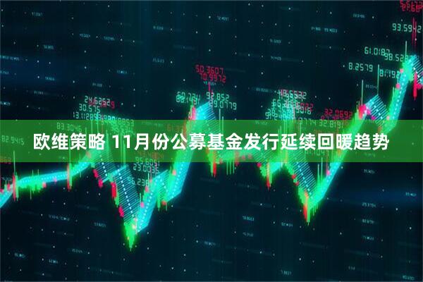 欧维策略 11月份公募基金发行延续回暖趋势